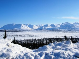 Winter view